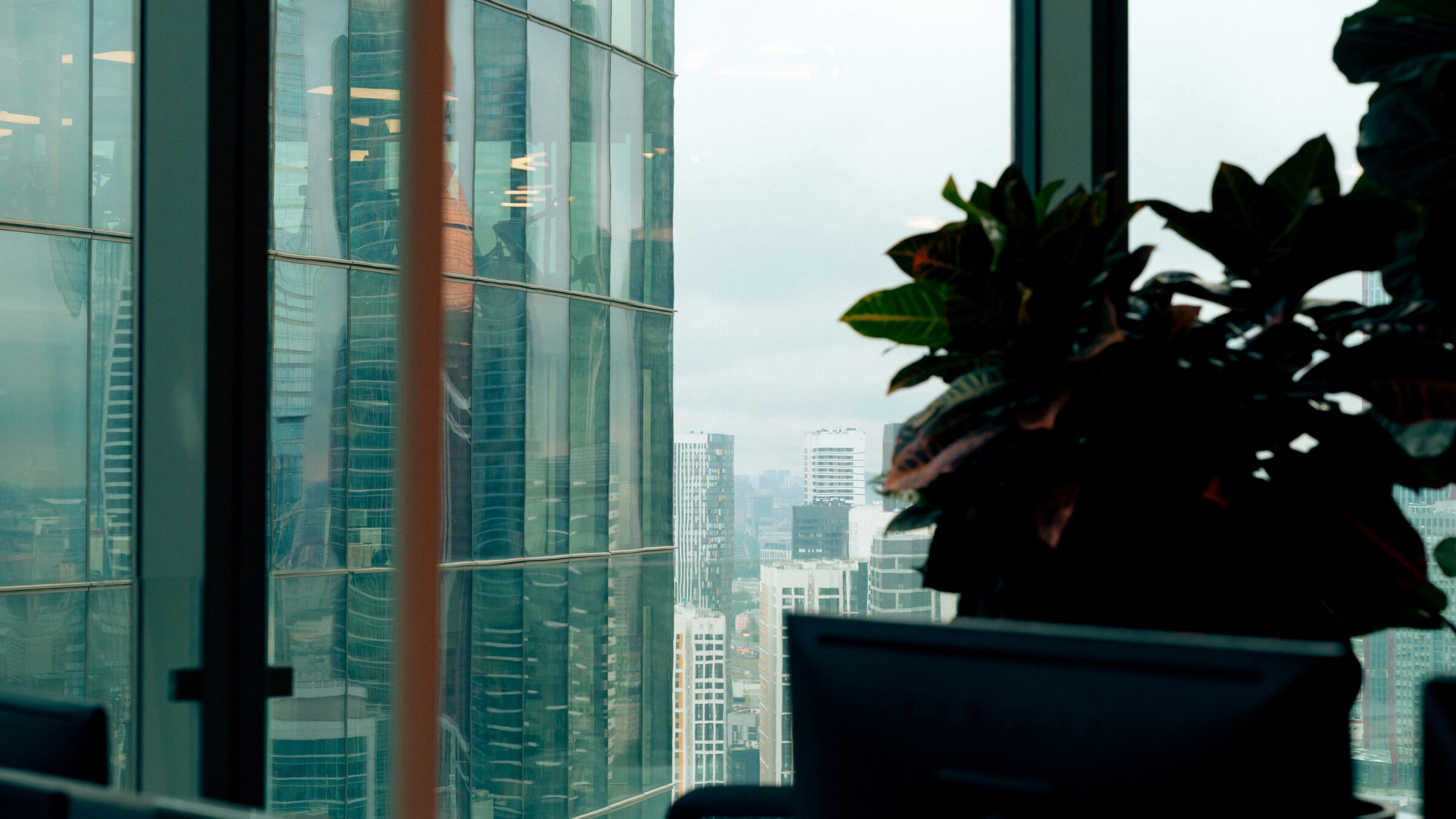 A glass office tower seen from inside an office, a plant silhouetted at the window