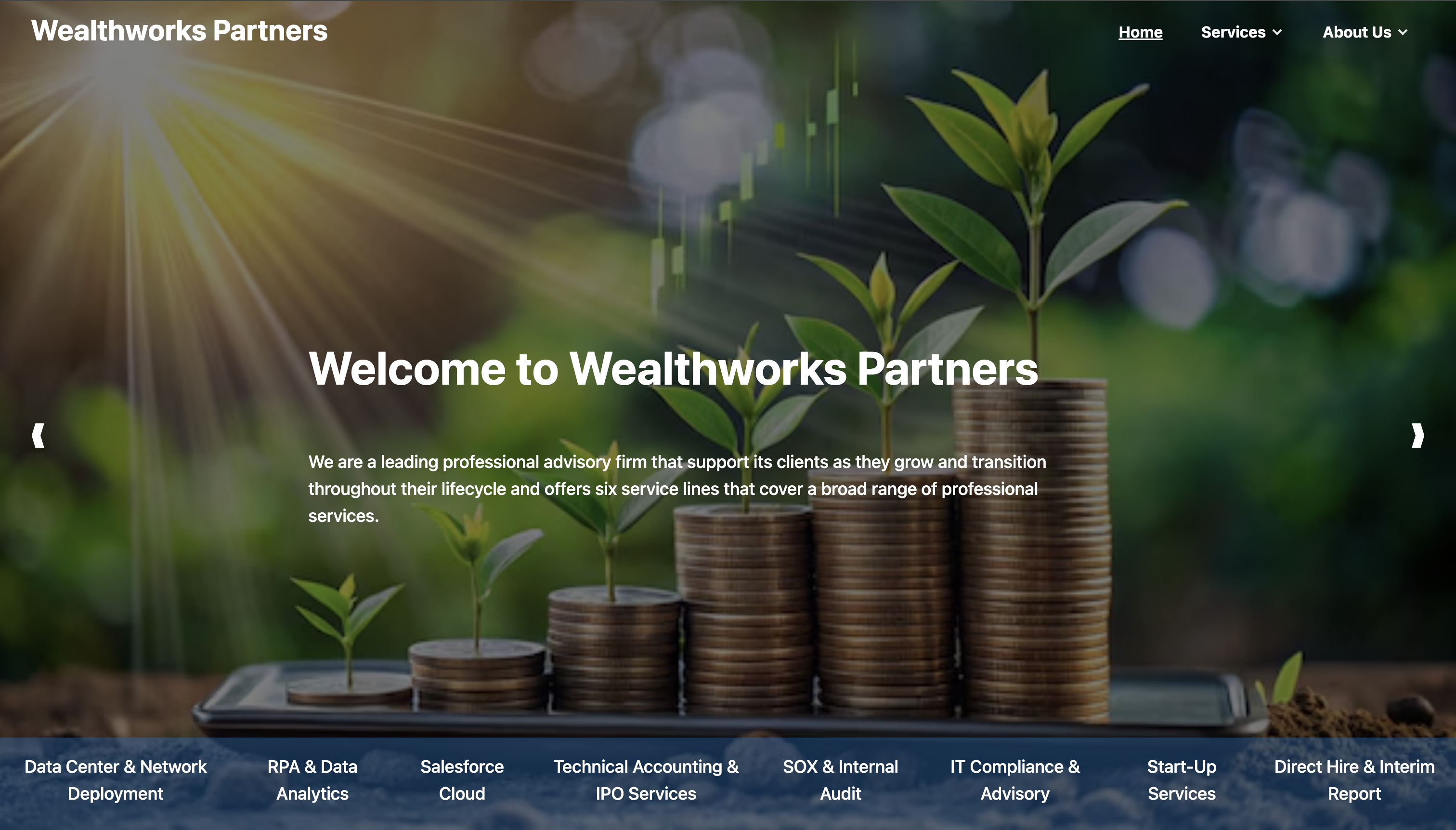 Wealth Works Partners website homepage